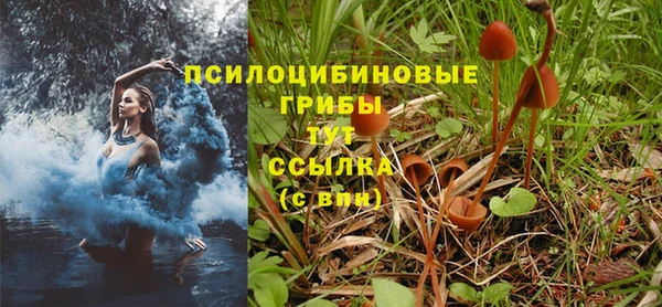 твердый Куйбышев