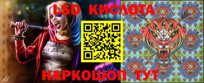 метадон Гусев
