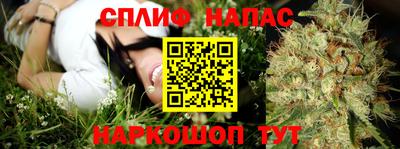 ECSTASY Балахна