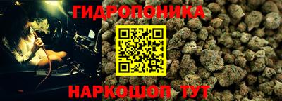 метадон Гусев